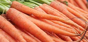 carrots